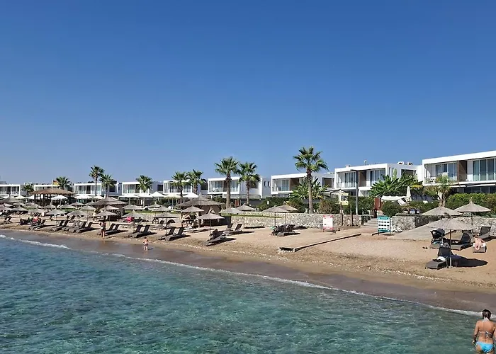 Chic Blue With Terrace باراليمني