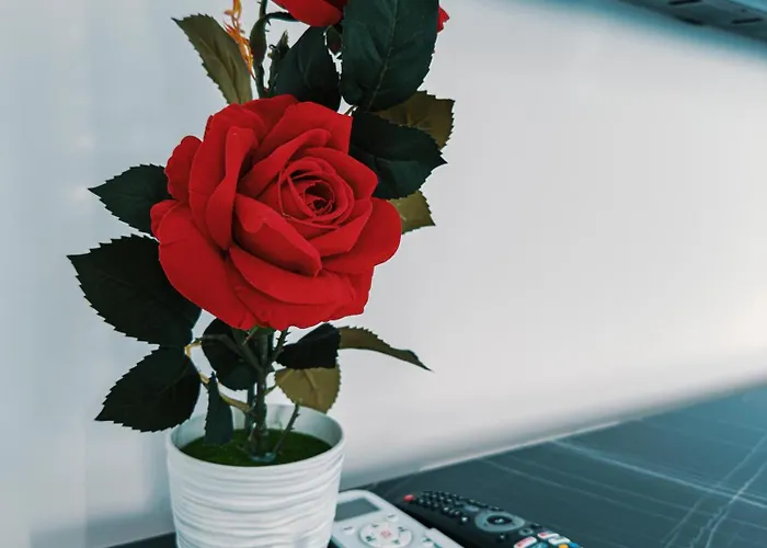 Chic Blue With Terrace * باراليمني